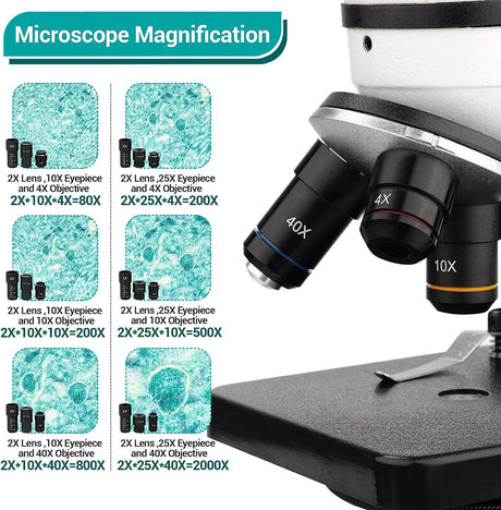 Microscópio de Ciências 40X- 2000X com Adaptador para Telemóvel