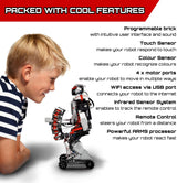 LEGO Mindstorms EV3 31313