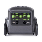 Robot SPIN MASTER Boxer Preto